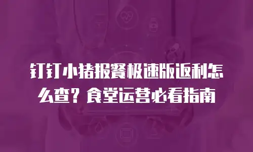 钉钉小猪报餐极速版返利怎么查？食堂运营必看指南