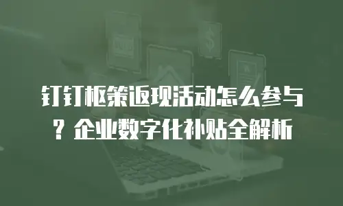 钉钉枢策返现活动怎么参与？企业数字化补贴全解析