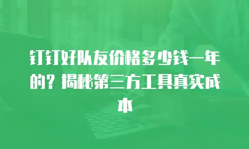 钉钉好队友价格多少钱一年的？揭秘第三方工具真实成本