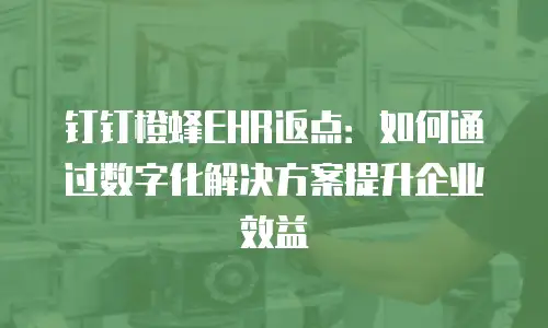钉钉橙蜂EHR返点：如何通过数字化解决方案提升企业效益
