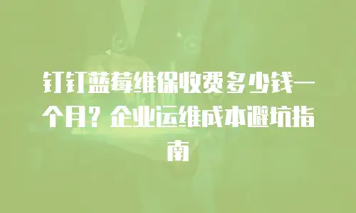 钉钉蓝莓维保收费多少钱一个月？企业运维成本避坑指南
