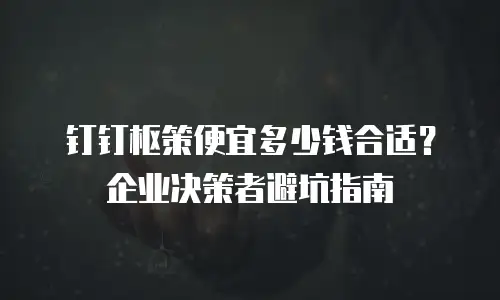 钉钉枢策便宜多少钱合适？企业决策者避坑指南
