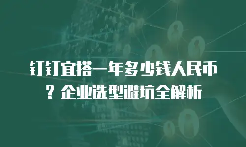 钉钉宜搭一年多少钱人民币？企业选型避坑全解析