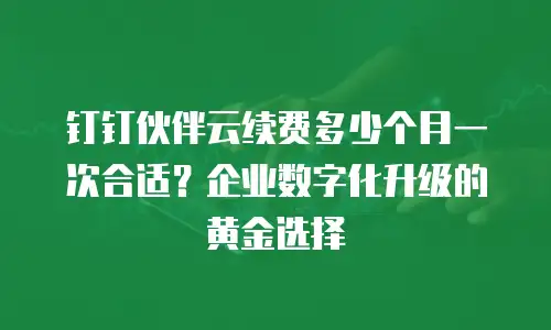 钉钉伙伴云续费多少个月一次合适？企业数字化升级的黄金选择