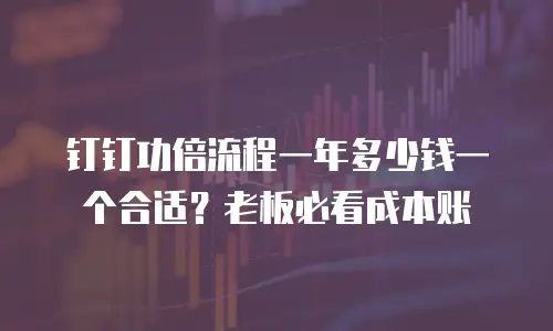 钉钉功倍流程一年多少钱一个合适？老板必看成本账