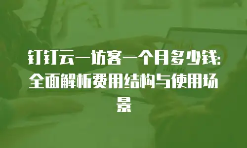 钉钉云一访客一个月多少钱：全面解析费用结构与使用场景