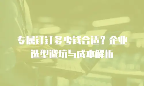 专属钉钉多少钱合适？企业选型避坑与成本解析