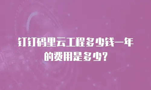 钉钉码里云工程多少钱一年的费用是多少？