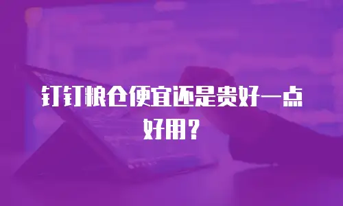 钉钉粮仓便宜还是贵好一点好用？