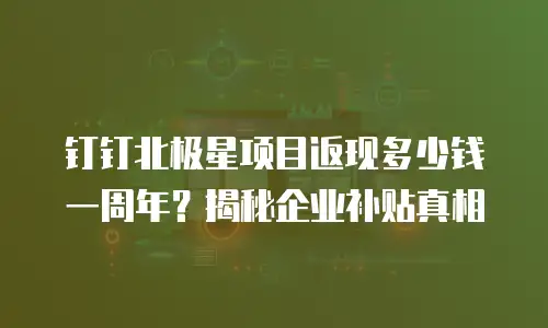 钉钉北极星项目返现多少钱一周年？揭秘企业补贴真相