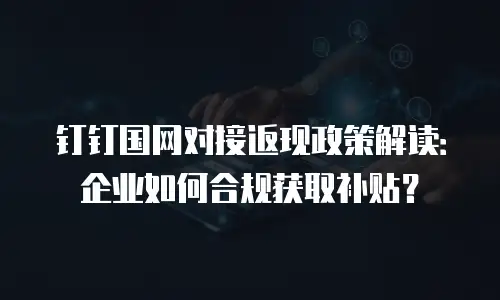 钉钉国网对接返现政策解读：企业如何合规获取补贴？