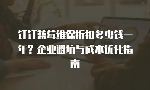 钉钉蓝莓维保折扣多少钱一年？企业避坑与成本优化指南