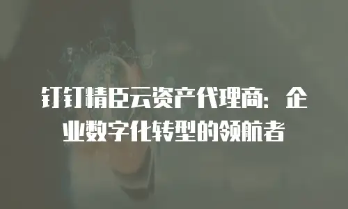 钉钉精臣云资产代理商：企业数字化转型的领航者