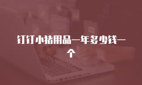 钉钉小猪用品一年多少钱一个