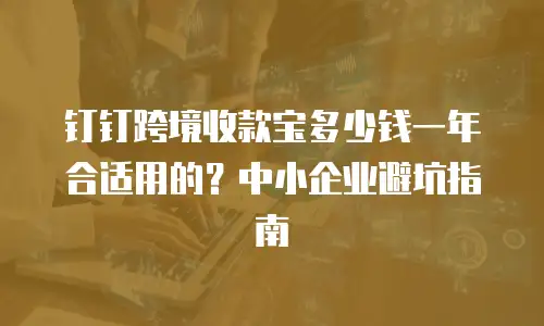 钉钉跨境收款宝多少钱一年合适用的？中小企业避坑指南