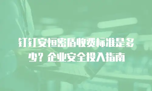 钉钉安恒密盾收费标准是多少？企业安全投入指南