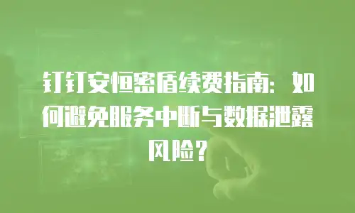 钉钉安恒密盾续费指南：如何避免服务中断与数据泄露风险？