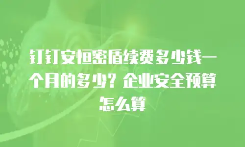 钉钉安恒密盾续费多少钱一个月的多少？企业安全预算怎么算
