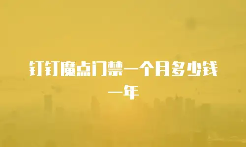 钉钉魔点门禁一个月多少钱一年