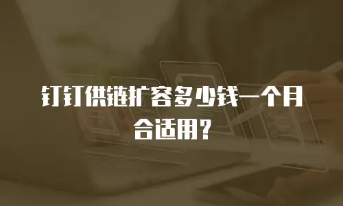 钉钉供链扩容多少钱一个月合适用？