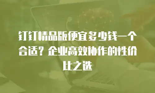 钉钉精品版便宜多少钱一个合适？企业高效协作的性价比之选