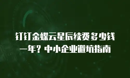 钉钉金蝶云星辰续费多少钱一年？中小企业避坑指南