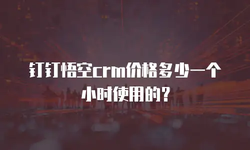 钉钉悟空crm价格多少一个小时使用的？