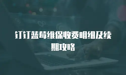 钉钉蓝莓维保收费明细及续期攻略