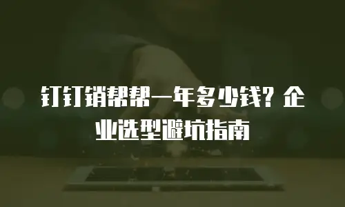 钉钉销帮帮一年多少钱？企业选型避坑指南