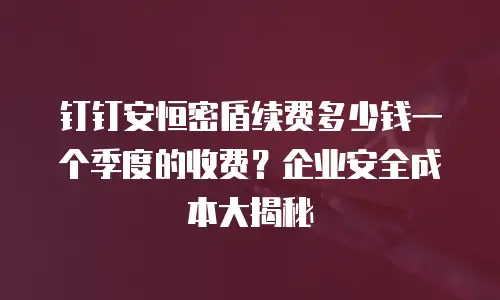 钉钉安恒密盾续费多少钱一个季度的收费？企业安全成本大揭秘