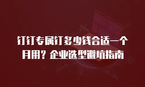 钉钉专属钉多少钱合适一个月用？企业选型避坑指南
