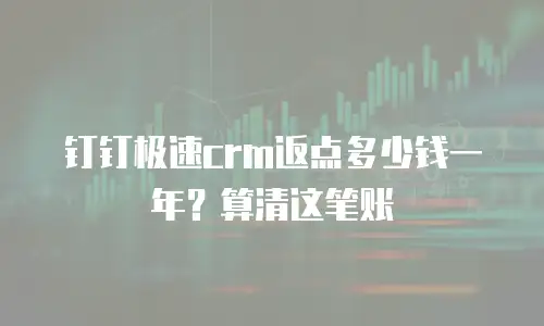 钉钉极速crm返点多少钱一年？算清这笔账