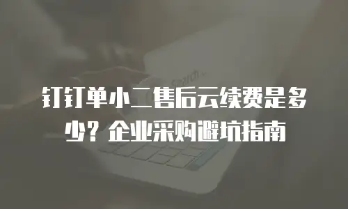 钉钉单小二售后云续费是多少？企业采购避坑指南
