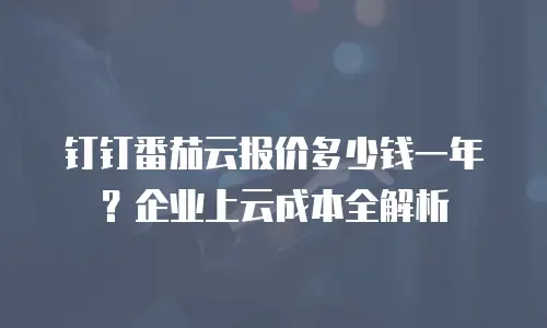 钉钉番茄云报价多少钱一年？企业上云成本全解析