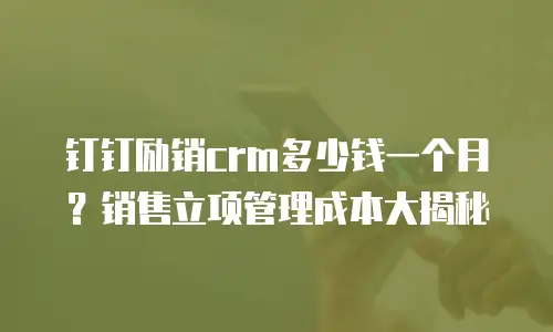 钉钉励销crm多少钱一个月？销售立项管理成本大揭秘