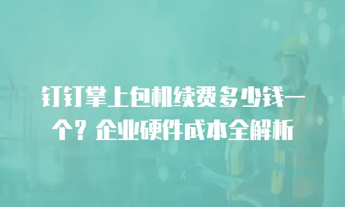 钉钉掌上包机续费多少钱一个？企业硬件成本全解析