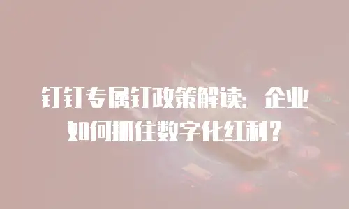 钉钉专属钉政策解读：企业如何抓住数字化红利？