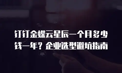 钉钉金蝶云星辰一个月多少钱一年？企业选型避坑指南