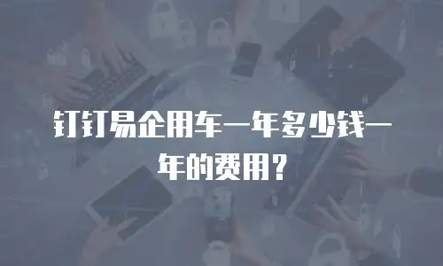 钉钉易企用车一年多少钱一年的费用？