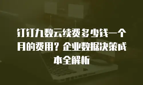 钉钉九数云续费多少钱一个月的费用？企业数据决策成本全解析