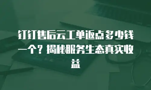 钉钉售后云工单返点多少钱一个？揭秘服务生态真实收益