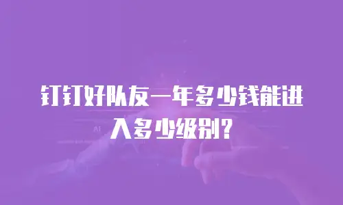 钉钉好队友一年多少钱能进入多少级别？