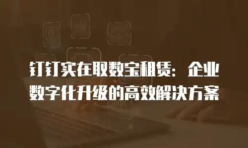 钉钉实在取数宝租赁：企业数字化升级的高效解决方案