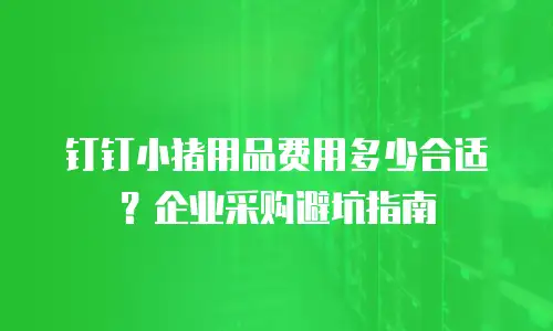 钉钉小猪用品费用多少合适？企业采购避坑指南