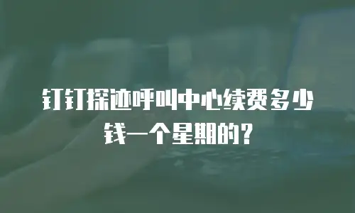 钉钉探迹呼叫中心续费多少钱一个星期的？