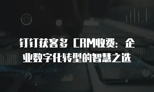 钉钉获客多 CRM收费：企业数字化转型的智慧之选