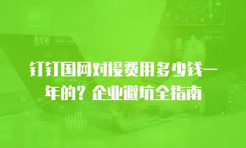 钉钉国网对接费用多少钱一年的？企业避坑全指南