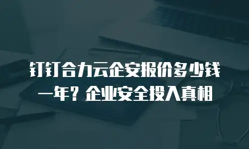 钉钉合力云企安报价多少钱一年？企业安全投入真相