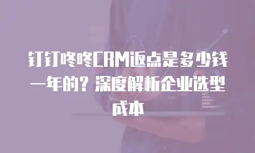 钉钉咚咚CRM返点是多少钱一年的？深度解析企业选型成本