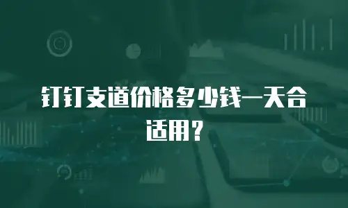 钉钉支道价格多少钱一天合适用？